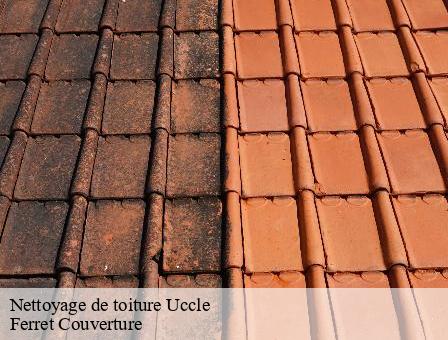 Nettoyage de toiture 1080