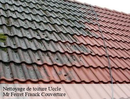 Nettoyage de toiture  1080