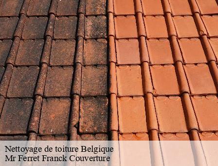 Nettoyage de toiture  