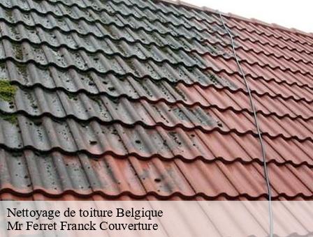 Nettoyage de toiture  