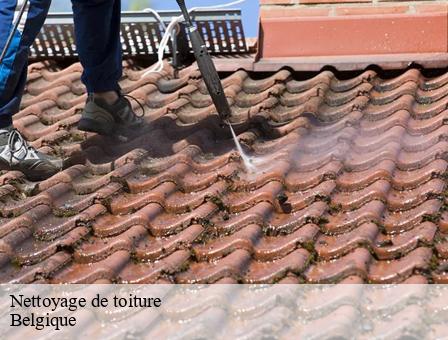 Nettoyage de toiture