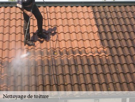 Nettoyage de toiture