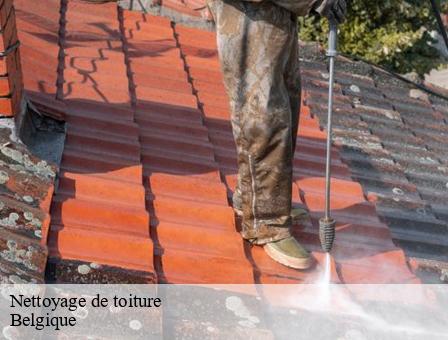 Nettoyage de toiture