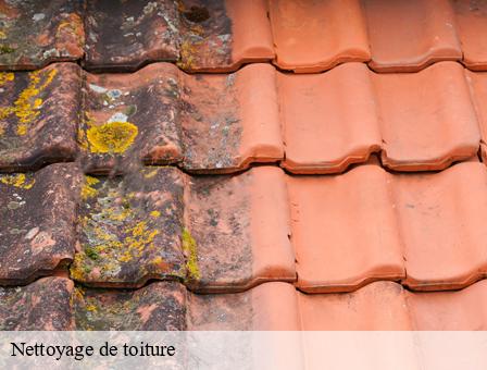 Nettoyage de toiture
