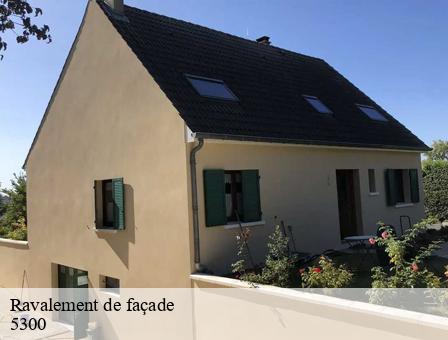 Ravalement de façade 5300