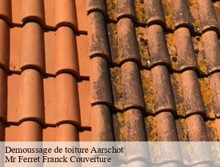 Demoussage de toiture  3200