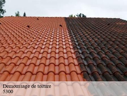 Demoussage de toiture 5300
