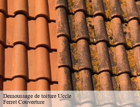 Demoussage de toiture 1080