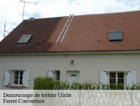 Demoussage de toiture 1080