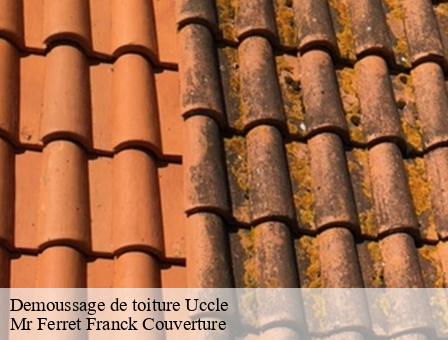 Demoussage de toiture 1080