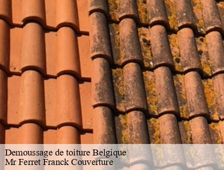 Demoussage de toiture  