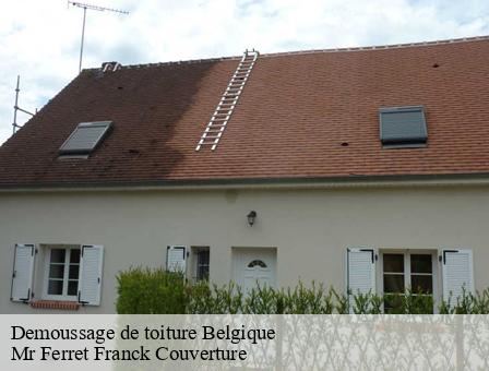 Demoussage de toiture  