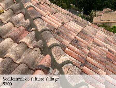 Scellement de faitière faitage 5300