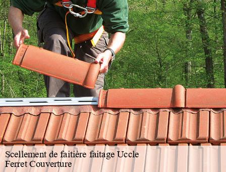 Scellement de faitière faitage 1080