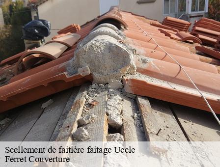 Scellement de faitière faitage 1080