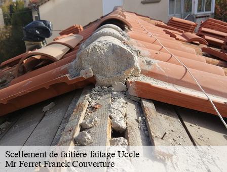 Scellement de faitière faitage 1080
