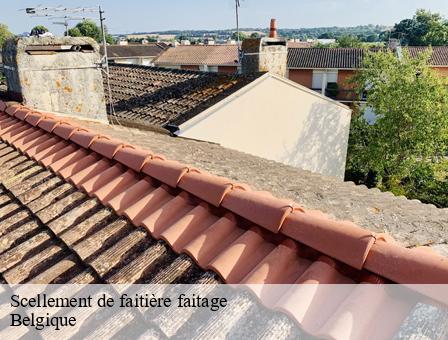 Scellement de faitière faitage  
