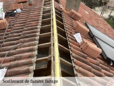 Scellement de faitière faitage  