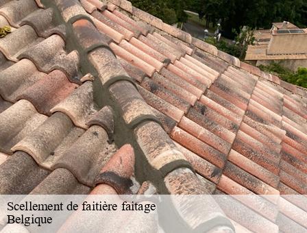 Scellement de faitière faitage  