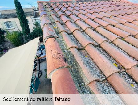 Scellement de faitière faitage  