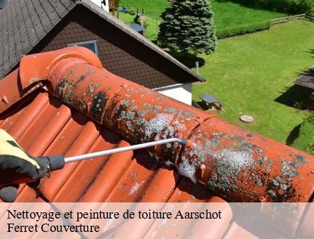 Nettoyage et peinture de toiture 3200