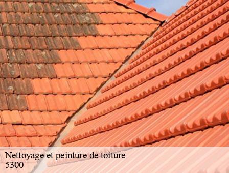Nettoyage et peinture de toiture 5300