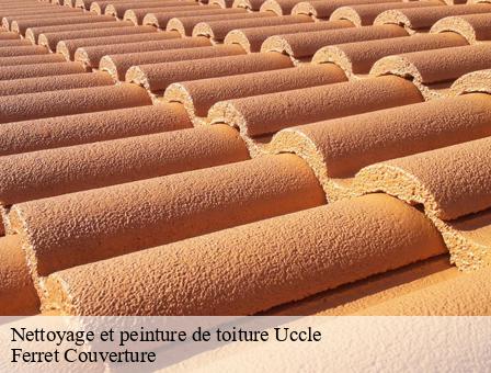 Nettoyage et peinture de toiture  1080