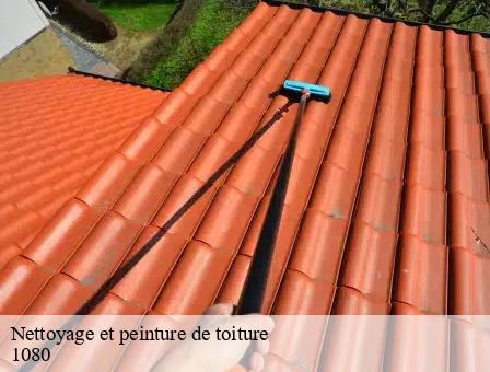 Nettoyage et peinture de toiture  1080