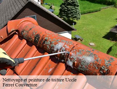 Nettoyage et peinture de toiture  1080