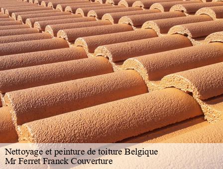 Nettoyage et peinture de toiture