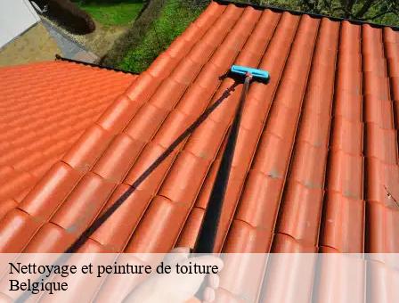 Nettoyage et peinture de toiture