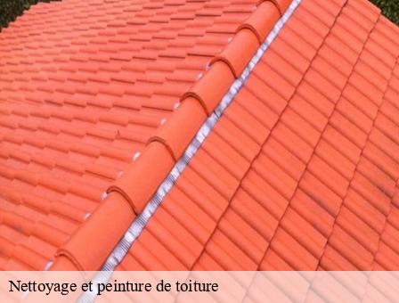 Nettoyage et peinture de toiture