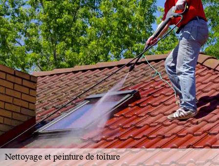 Nettoyage et peinture de toiture