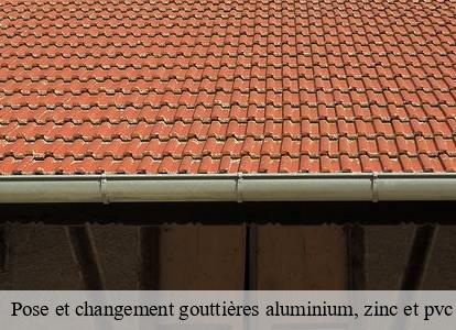 Pose et changement gouttières aluminium, zinc et pvc  1080