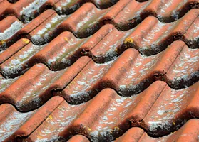 Expert en nettoyage de toiture Belgique